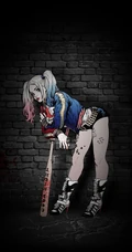 DC动漫人物小丑女桌面壁纸下载
