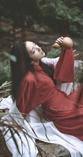 美女cosplay笑傲江湖主角东方不败手机壁纸