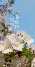 日本晚樱樱花图片，九种不太常见的晚樱樱花美图欣赏