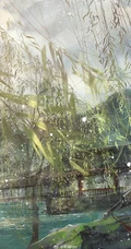 柳树，柳叶，柳树花图片，垂杨细柳唯美柳树美图欣赏