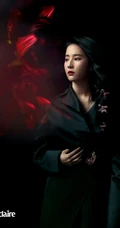 刘亦菲酷飒时尚国潮风格刺绣黑衣杂志封面写真图片