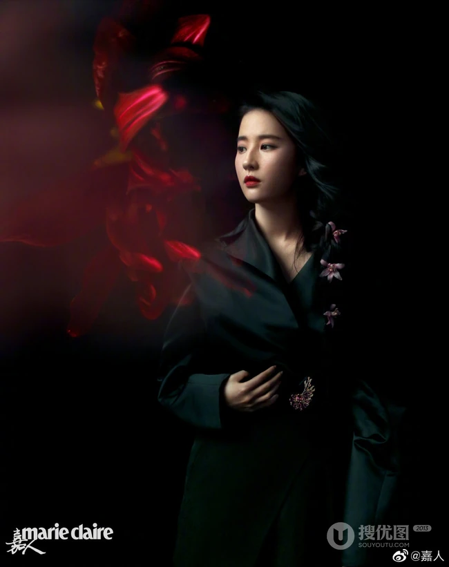 刘亦菲酷飒时尚国潮风格刺绣黑衣杂志封面写真图片