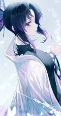 蝴蝶忍图片，漫画《鬼灭之刃》人物蝴蝶忍超美壁纸图片