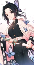 蝴蝶忍图片，漫画《鬼灭之刃》人物蝴蝶忍超美壁纸图片