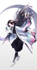 蝴蝶忍图片，漫画《鬼灭之刃》人物蝴蝶忍超美壁纸图片