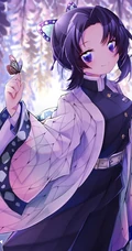 蝴蝶忍图片，漫画《鬼灭之刃》人物蝴蝶忍超美壁纸图片