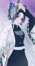 蝴蝶忍图片，漫画《鬼灭之刃》人物蝴蝶忍超美壁纸图片