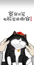 萌萌的油墨猫咪励志文字配图非主流手机壁纸