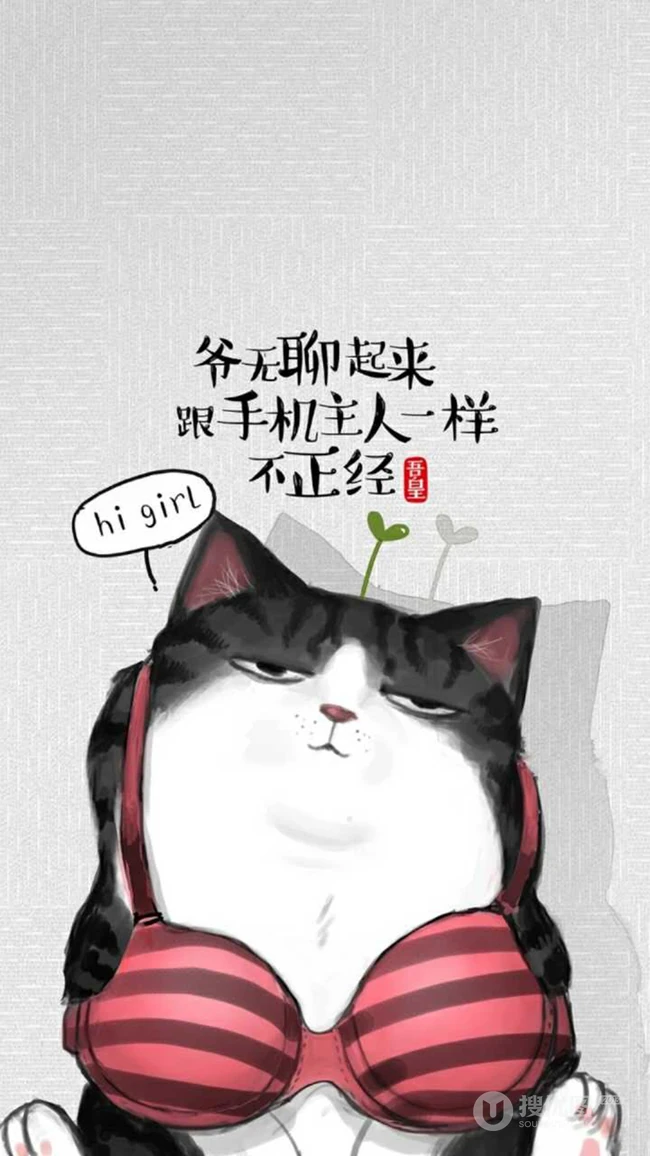 萌萌的油墨猫咪励志文字配图非主流手机壁纸