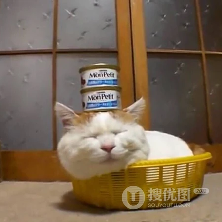 肥猫宠物顶罐头搞笑创意王者荣耀五黑头像