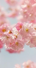 三月阳春桃花红，宛如朝霞般的浅粉桃花摄影美图欣赏
