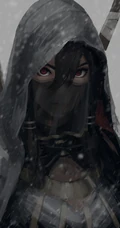 画师ZWGu女武士，侠客插画作品手机壁纸