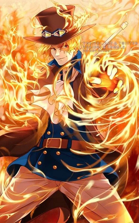 日本动漫《海贼王》火拳艾斯，路飞手机壁纸