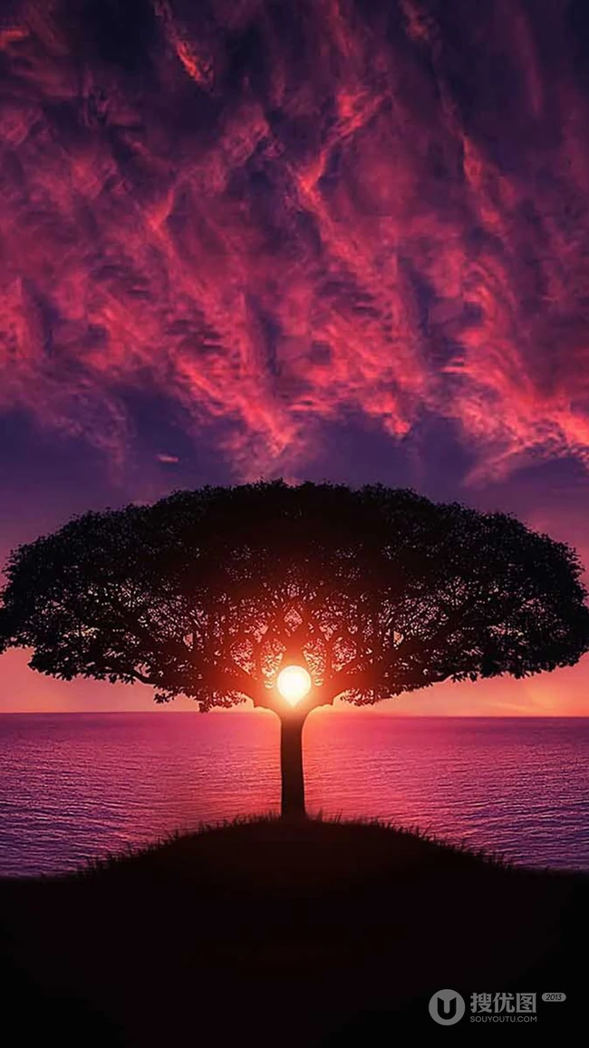 火红的夕阳下，湖边的一颗伞型大树唯美手机壁纸免费下载