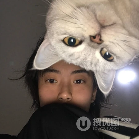 帅气小哥哥和他们的宠物猫咪自拍头像图片