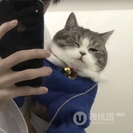 帅气小哥哥和他们的宠物猫咪自拍头像图片