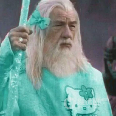 带蝴蝶结的大法师甘道夫搞笑王者荣耀五排开黑头像