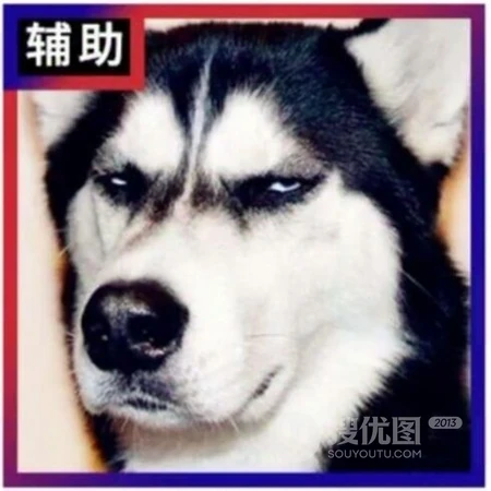 宠物二哈的搞笑表情开黑头像
