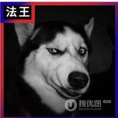 宠物二哈的搞笑表情开黑头像