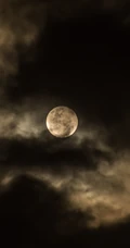 唯美的天空满月高清手机壁纸