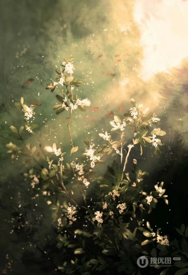 桂花，桂花树唯美摄影图片