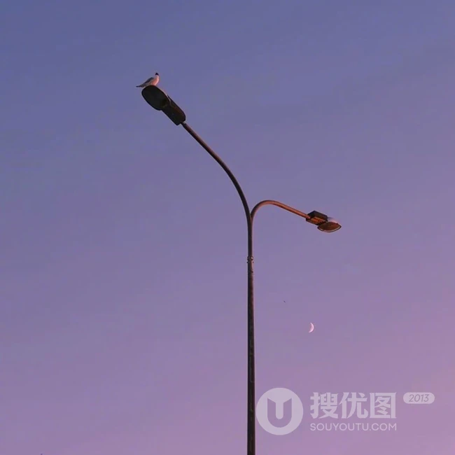 一天中最美的太阳，紫色的天空夕阳唯美图片 第4张