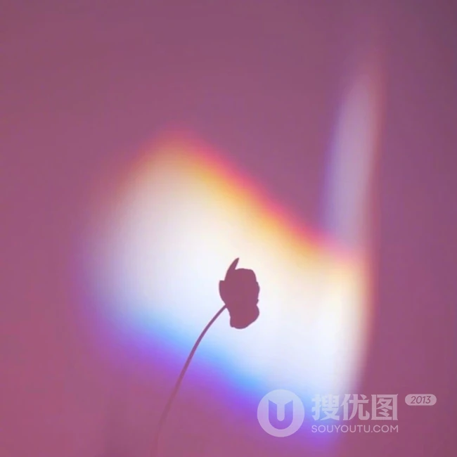 一天中最美的太阳，紫色的天空夕阳唯美图片 第7张