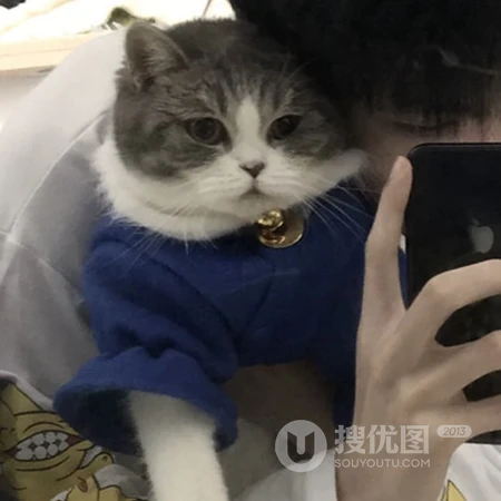 拿着手机自拍的小帅哥头像图片