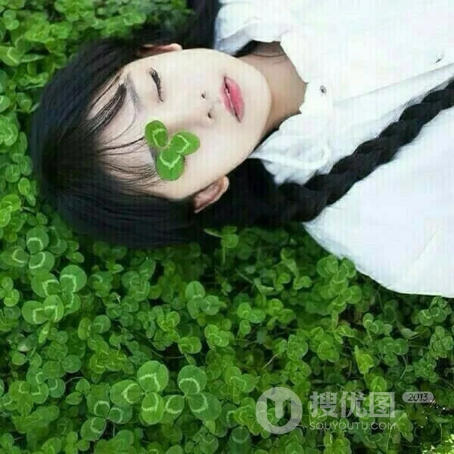三叶草图片，随处可见的青青小草三叶草唯美图片