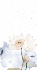 中国风毛笔画大好河山，传统花卉唯美油墨手机壁纸