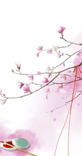古风油墨梅花古筝文雅的手机壁纸