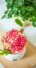 铜钱草图片，家庭养殖植物铜钱草唯美摄影图片
