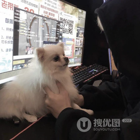 干净而又有性格的男生QQ头像