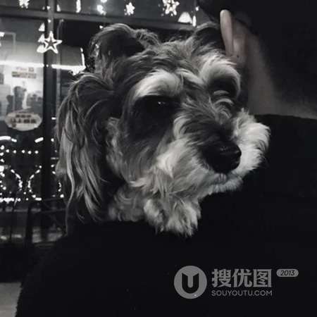 抱宠物狗狗的男生，吸烟耍酷的帅哥头像4月18日更新