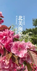 北美海棠花图片，最常见的9种北美海棠唯美图片图解