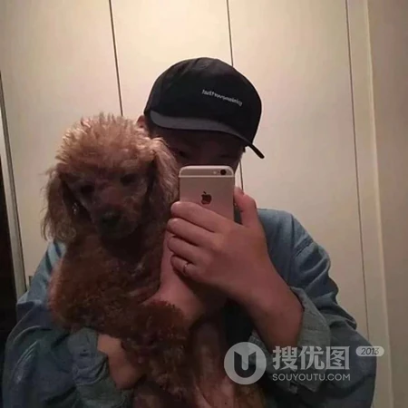 情侣开车出行，开黑等创意自拍一人一半头像图片