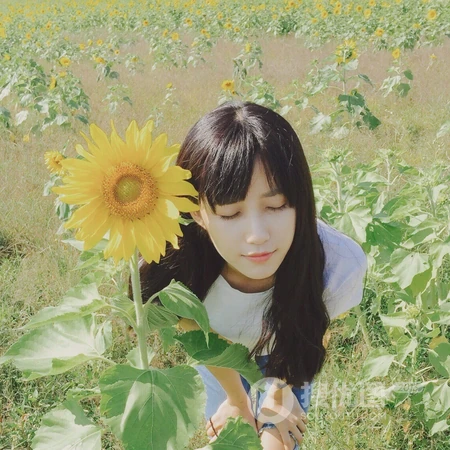网络点赞超几十万的各类女生头像4月19日收集推荐