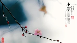 漫天白霜的唯美景色摄影二十四节气&ldquo;小寒&rdquo;高清4K壁纸
