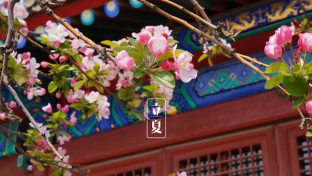 传统时节二十四节气&ldquo;立夏&rdquo;桌面壁纸图片