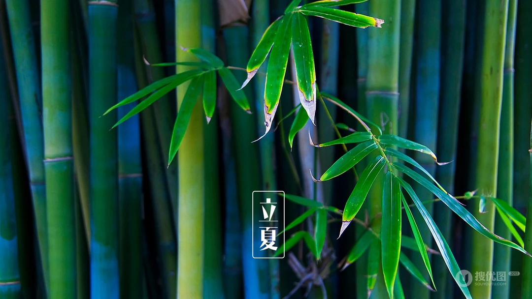 传统时节二十四节气&ldquo;立夏&rdquo;桌面壁纸图片