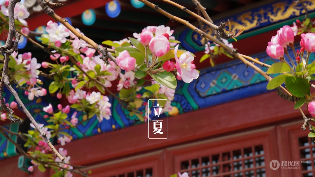 传统时节二十四节气&ldquo;立夏&rdquo;桌面壁纸图片