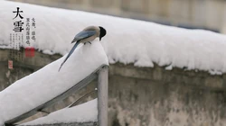 唯美故宫摄影二十四节气&ldquo;大雪&rdquo;的高清4K电脑壁纸图片