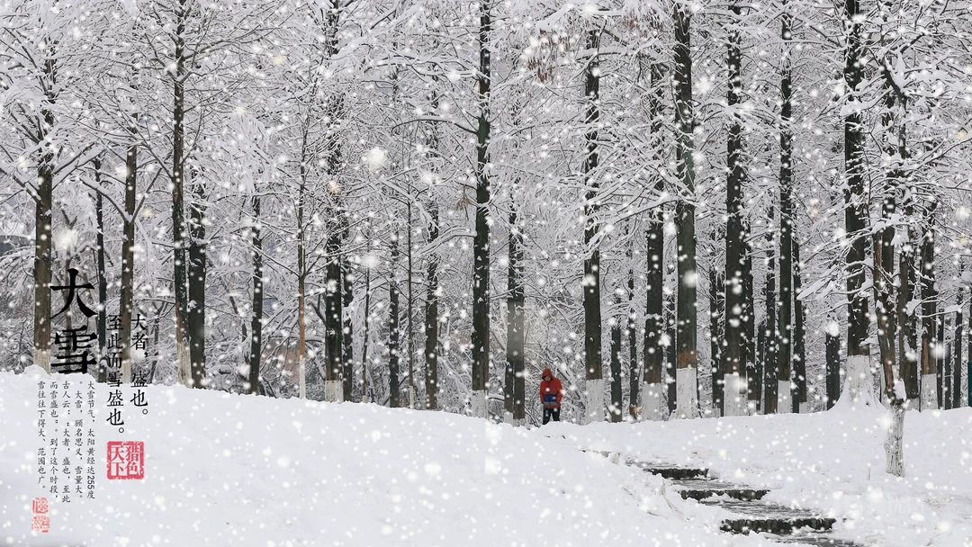 唯美故宫摄影二十四节气&ldquo;大雪&rdquo;的高清4K电脑壁纸图片