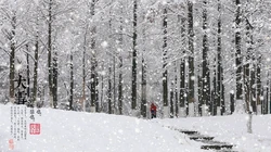唯美故宫摄影二十四节气&ldquo;大雪&rdquo;的高清4K电脑壁纸图片