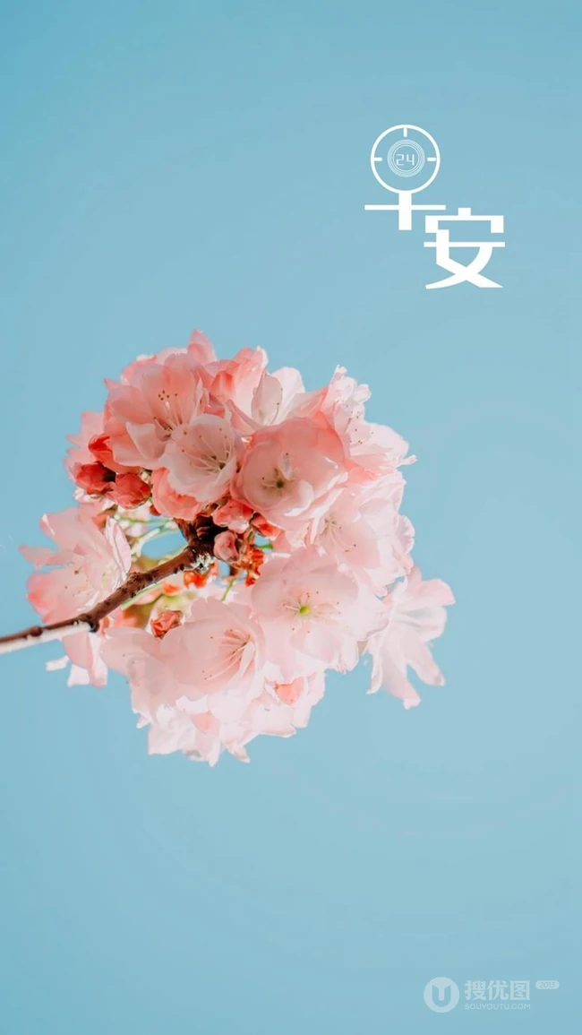 最暖心的早安图片，以花朵花卉为背景的早安心语文字图片