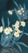 花儿与少年，超美二次元动漫帅哥美少男唯美意境插画图片