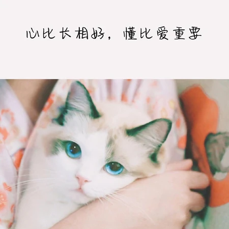 情感文字图片，适合发朋友圈的带情感感悟的说说带字美图