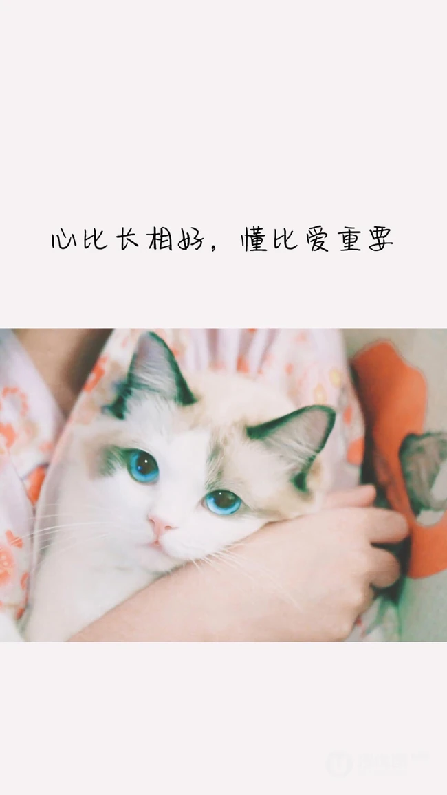 情感文字图片，适合发朋友圈的带情感感悟的说说带字美图