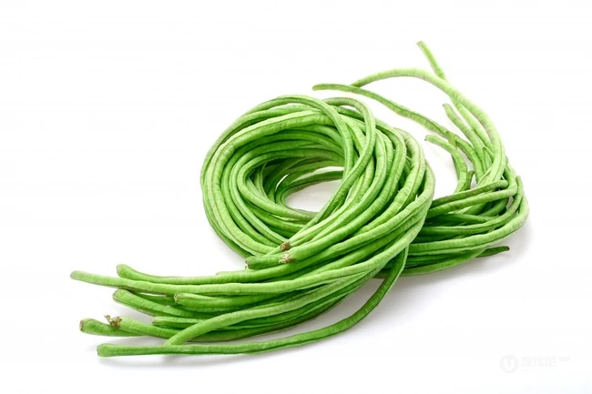 绿色营养的新鲜蔬菜豆角高清图片（8张） 第5张
