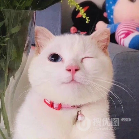 古典有年代感的女生QQ头像
